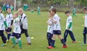 bozsik_torna_2017_10
