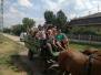 Grassroots Foci- és Sporttábor